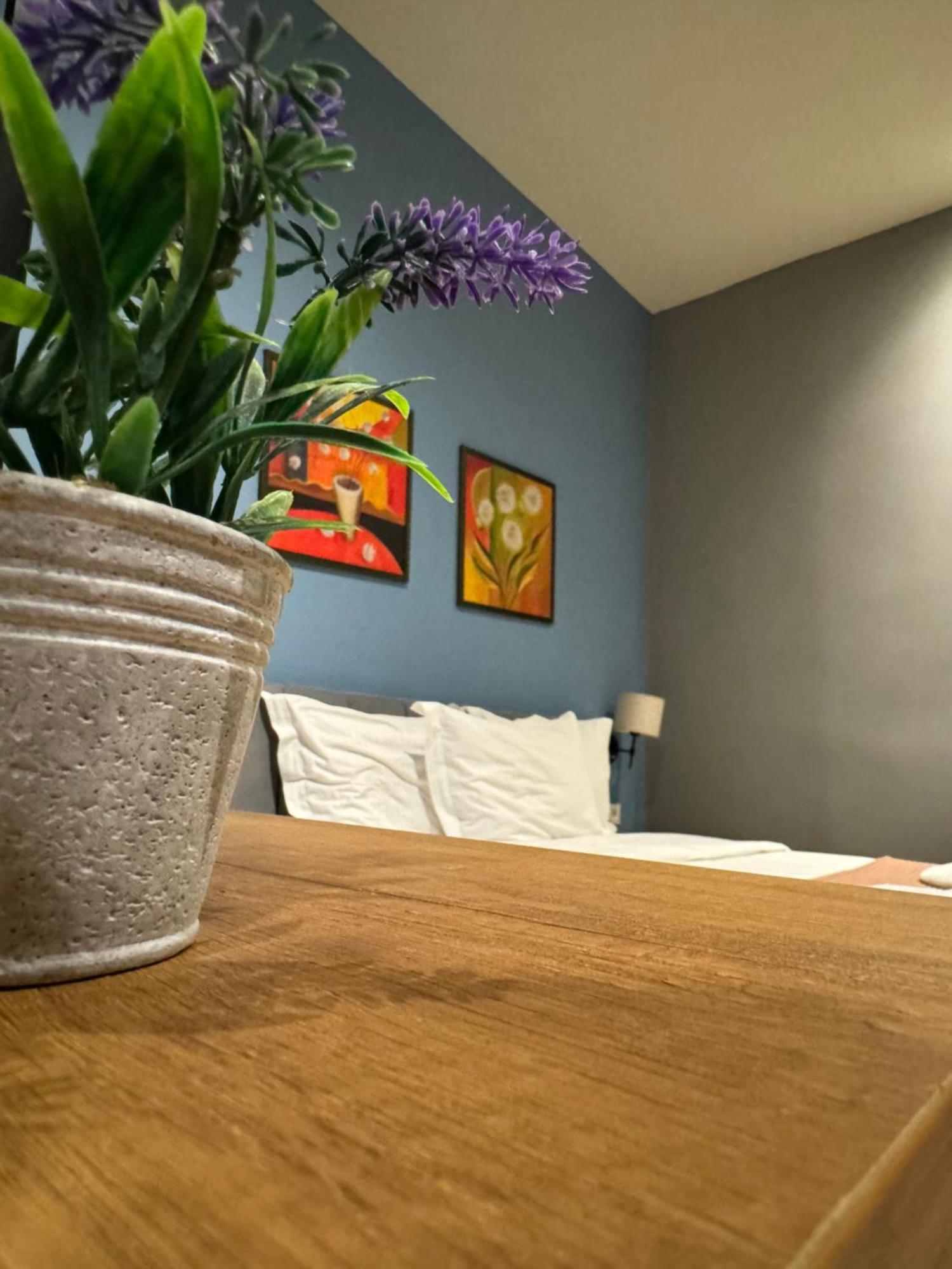 Hotel Tirona Tiranë Luaran gambar