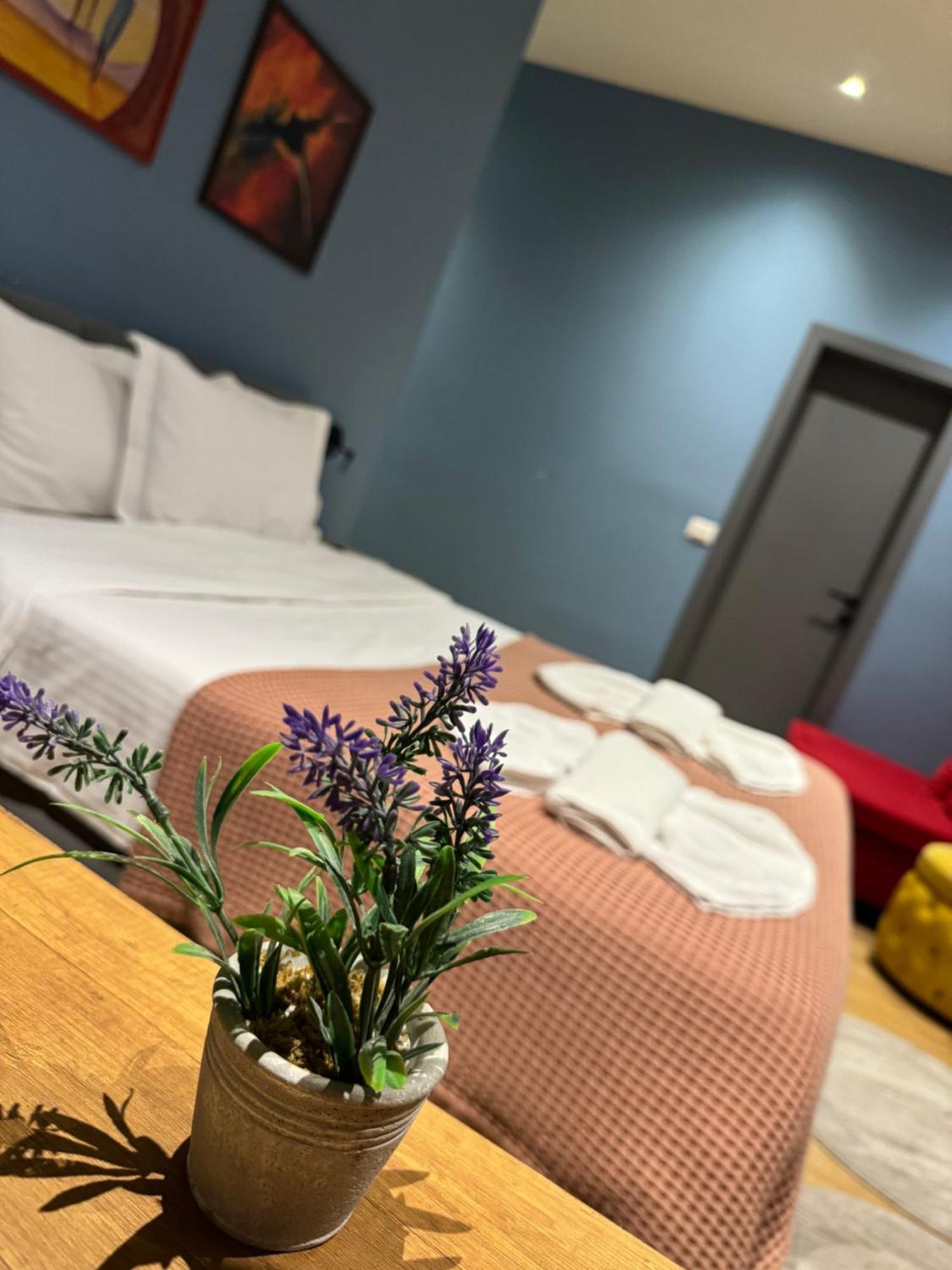 Hotel Tirona Tiranë Luaran gambar